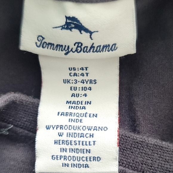 Tommy Bahama Toddler Boy Blue Gray Dino Skateboard Graphic Crew Neck T-Shirt 4t - Picture 4 of 6